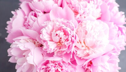 Close-up pink peony bouquet