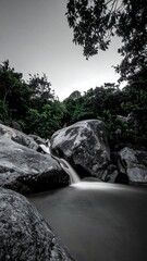 Gray-toned waterfall cascading over rocks in a lush forest