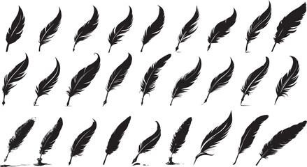 Black Feather Quill Vector Pack, Vintage Quill Feather Silhouettes – Ink Pen Vector Set