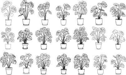 Hand-Drawn Indoor Plant Collection, Monstera and Tropical Pots
