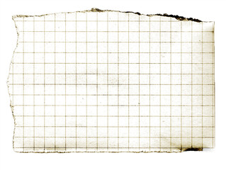 Ripped Brown Paper note memo grid vintage scrapbook high quality isolated	
