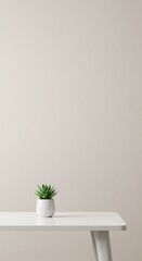 A small succulent plant in a white pot sits on a white table against a neutral wall.