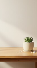 Fototapeta premium A small green succulent plant in a ceramic pot sits on a wooden table against a plain wall with soft light.
