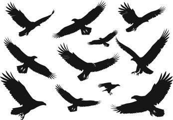 Obraz premium Bird silhouettes in flight, eagle hawk shapes, black flying birds, wildlife vector, isolated wings, nature design, predator motion, animal silhouettes