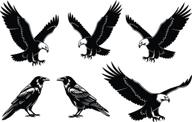 Bald eagle and raven vector silhouettes, flying and standing bird poses, black and white wildlife illustrations, perfect for nature, tattoo, and educational designs