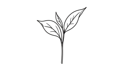 Abstract illustration of a stylized plant sprout