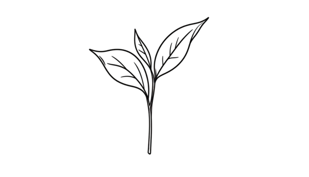 Abstract illustration of a stylized plant sprout