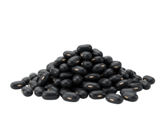 Isolated pile of organic dried black beans, uncooked and ready for food processing