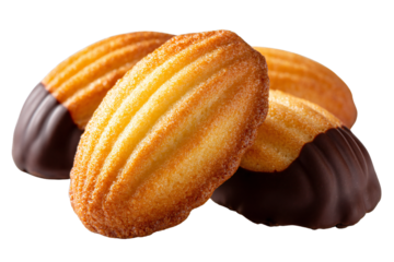 French madeleine cookies with chocolate dipped shell shaped sponge cakes, golden brown baked dessert pastry, isolated on white background