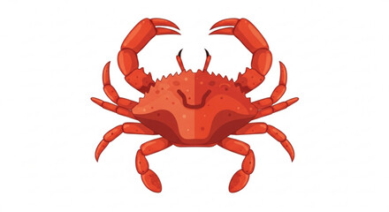 Cartoon red crab illustration vector drawing seafood animal crustacean marine life aquatic ocean wildlife sea creature