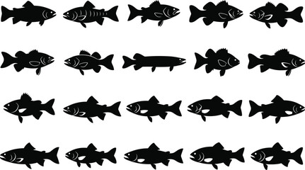 Fish silhouette vector set, black aquatic animal icons, marine species collection, editable isolated shapes for fishing, nature, biology, and design