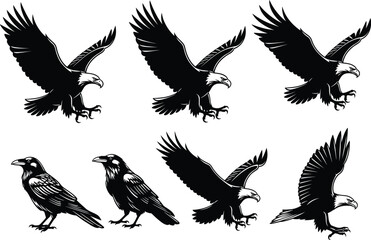 Obraz premium Flying eagle silhouette, raven vector clipart, black and white bird illustration, wildlife predator pose, majestic wings spread, stock design elements