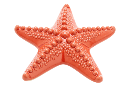 Isolated Red Starfish, Marine Invertebrate Specimen, Orange Pentagram Object with Bumpy Texture