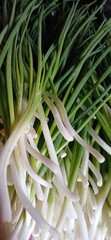 fresh green onion