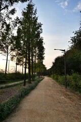 길거리, 나무, 네이처, sky, 경관, 경로, green, 여름, 목초, 국가, 농촌, 길, 봄, 시골, 공원, 레인, 거리, 들판, 여행, 때, 구름, 소나무, 보도