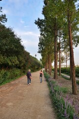 걷기, 女, 공원, 네이처, 경로, 걷다, 나무, 부부, 길거리, 꼬마, 남자아이, 여름, green, 국민, 자전거, 스포츠, 아웃도어, 사람, 운동, 개, 하이킹, 액티브, 시골