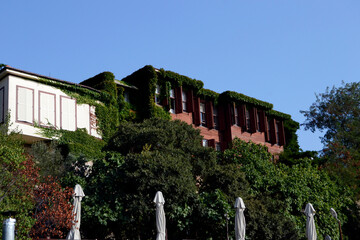 Fototapety na wymiar - Fototapeta24.pl