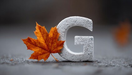 Autumn Leaf Beside White Letter G