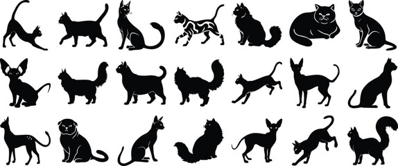 Obraz premium Collection of Various Black Silhouette Cats in Different Poses Sitting, Standing, Stretching and Playing