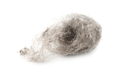 One clump of dust isolated on white