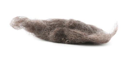 One clump of dust isolated on white