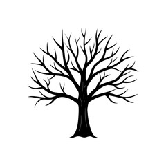Obraz premium Silhouette of leafless tree on transparent background