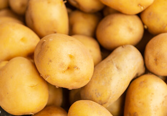 Top view heap of potatos root