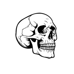 Monochrome illustration of a human skull with detailed line work representing mortality and