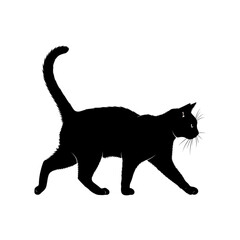 Obraz premium Silhouette of a black cat walking gracefully isolated on transparent background