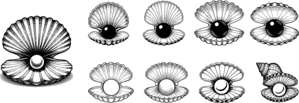 Vintage black and white oyster shell icons vector with pearls, elegant sea-inspired design illustration