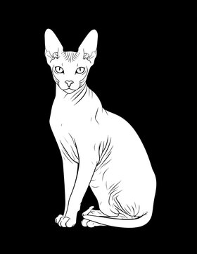 Elegant cat sketch