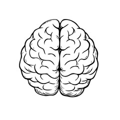 Stylized brain illustration emphasizing human intellect, cognitive functions, awareness, and