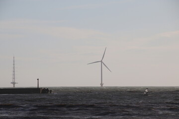 ウィンドサーフィン