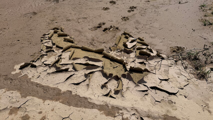 Cracked Mud Texture, Dry Earth Surface Detail