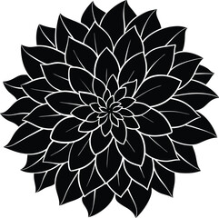 black and white abstract flower