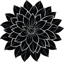 black and white abstract flower