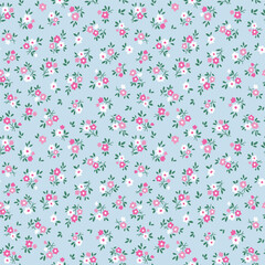 Cute floral pattern in small vintage flowers. Small white and pink flowers. Light blue background. Ditsy print. Floral seamless background. Gentle template for fashion prints. Fashion summer print. 
