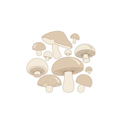 A collection of various mushrooms arranged in a circle.