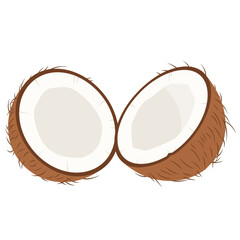 Halved coconut on white background.