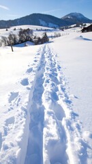 Snow-covered path in mountains