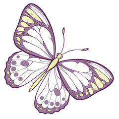 Colorful vector illustration of a beautiful butterfly with patterned wings on a pink flower, capturing the beauty of nature in summer