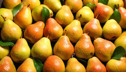 Fresh ripe pears with water drops background, fruits backdrop