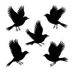 Five Elegant Bird Silhouettes:  Flight, Freedom, and Minimalist Design in Black and White.