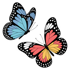Two Colorful Butterflies, Whimsical Design, Springtime Mood, Isolated on Black Background, Vector Illustration.