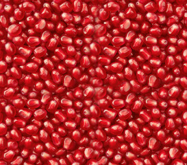 Fresh Juicy Pomegranate Seeds Close Up with Glossy Red Texture and Natural Shine
