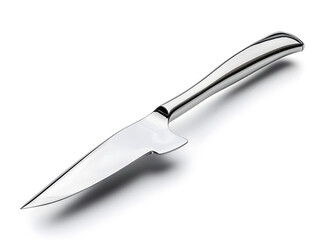 Fototapeta premium sharp stainless steel kitchen knife with metallic handle