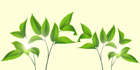Fresh foliage with sun flare design