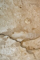 Obraz premium Water damaged ceiling, close up view, representing structural issues 