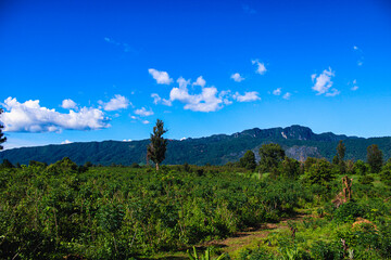 Scenic Laotian Farmland with Karst Mountains