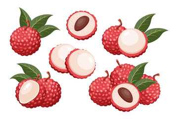 Set of lychees, whole and sliced, with leaves. Ripe lychee fruits on a white background. Illustration.